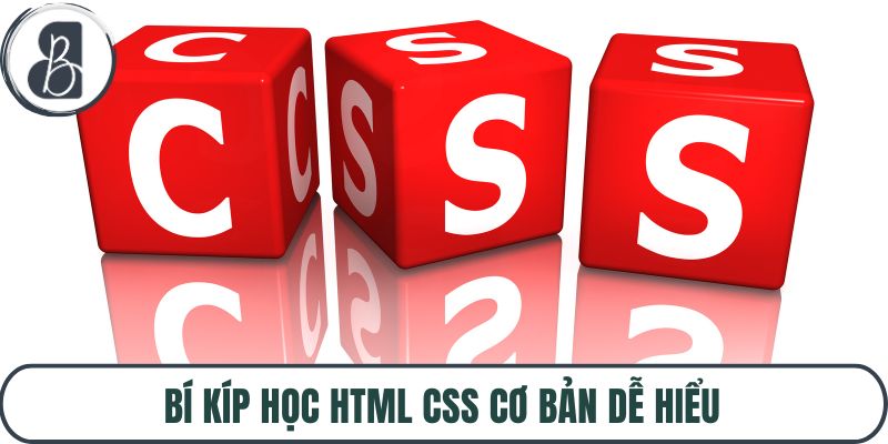 Bí kíp học HTML CSS cơ bản dễ hiểu