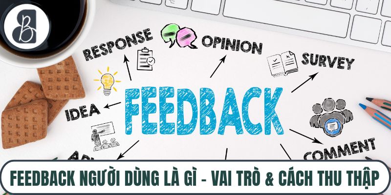 Feedback Người Dùng Là Gì – Vai Trò & Cách Thu Thập