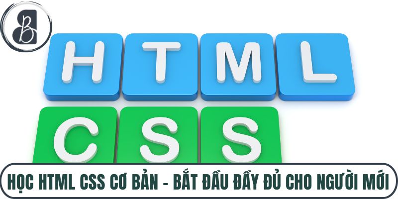 Học HTML CSS Cơ Bản – Bắt Đầu Đầy Đủ Cho Người Mới