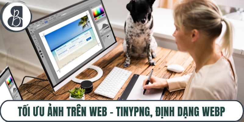 Tối Ưu Ảnh Trên Web – TinyPNG, Định Dạng WebP Hiệu Quả